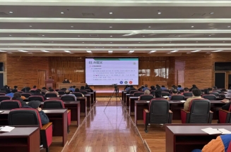 m88官网集团组织进行AI应用培训