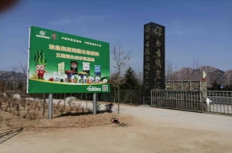 m88官网集团总裁、市人大代表林成彬建言日照茶产业提质增效